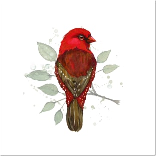 Red avadavat watercolor Posters and Art